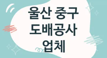 울산 중구 도배공사 업체 추천 TOP 5, 도배업체, 도배
