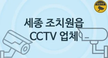 세종 조치원읍 CCTV 업체 추천 TOP 3, 판매 견적 시공업체