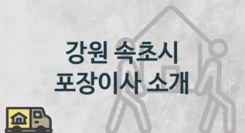 속초시 포장이사 안내, 서비스별 이사 견적과 일정