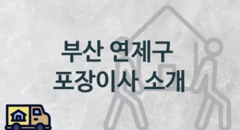 부산 연제구 종류별 포장이사 업체 안내, 이사 비용과 시기
