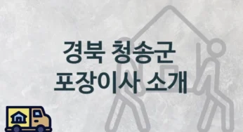 경북 청송군 포장이사 업체 이사짐센터 추천정보, 난의도별 보관 이사 견적과 시기
