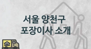 양천구 포장이사 소개, 평수 거리별 보관 이사 견적과 일정