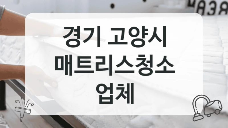 경기 고양시 매트리스 청소 서비스 가격은?