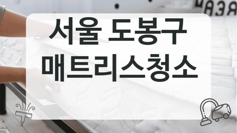서울 도봉구
매트리스청소