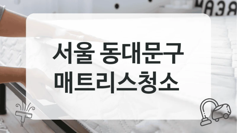 서울 동대문구
매트리스청소
