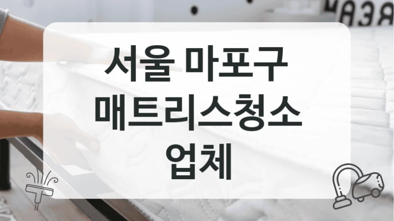 서울 마포구
매트리스청소 업체
