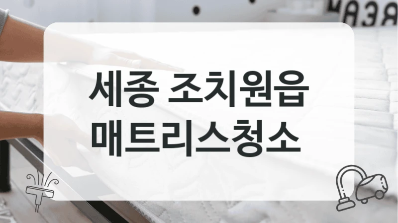 세종 조치원읍
매트리스청소