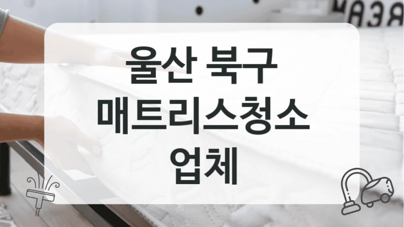 울산 북구
매트리스청소 업체