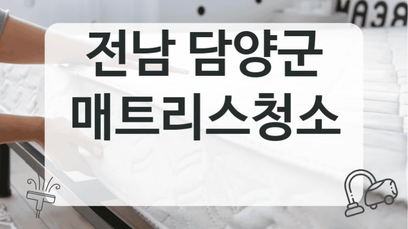 전남 담양군
매트리스청소