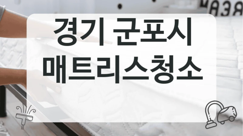 경기 군포시
매트리스청소