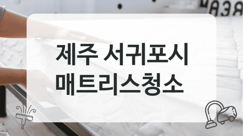 제주 서귀포시
매트리스청소