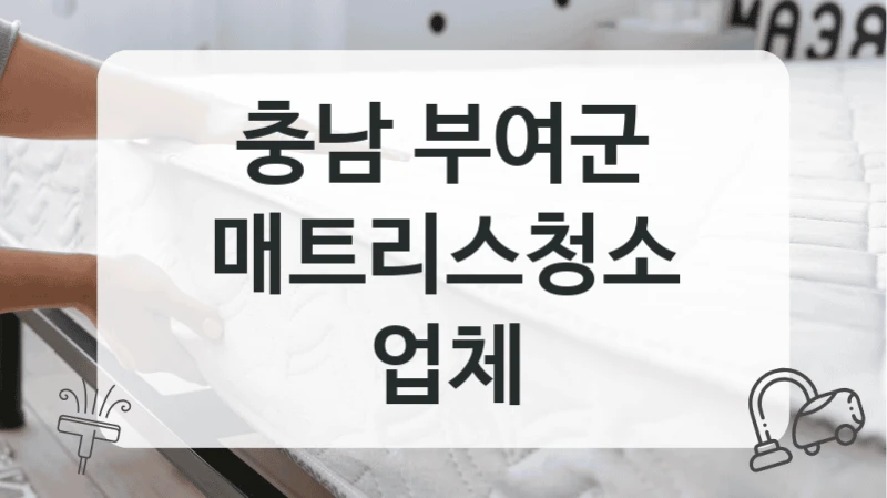 충남 부여군
매트리스청소 업체