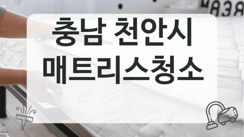 충남 천안시
매트리스청소