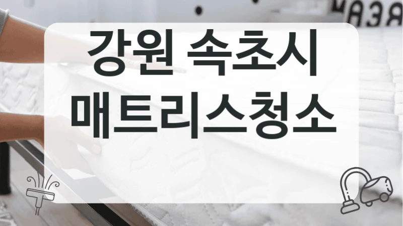 강원 속초시
매트리스청소