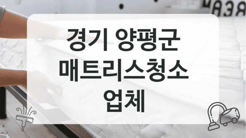 경기 양평군
매트리스청소 업체