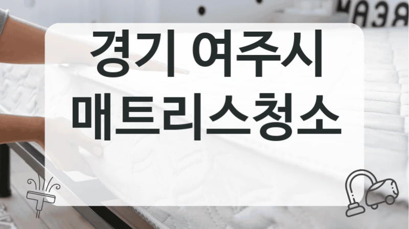 경기 여주시
매트리스청소