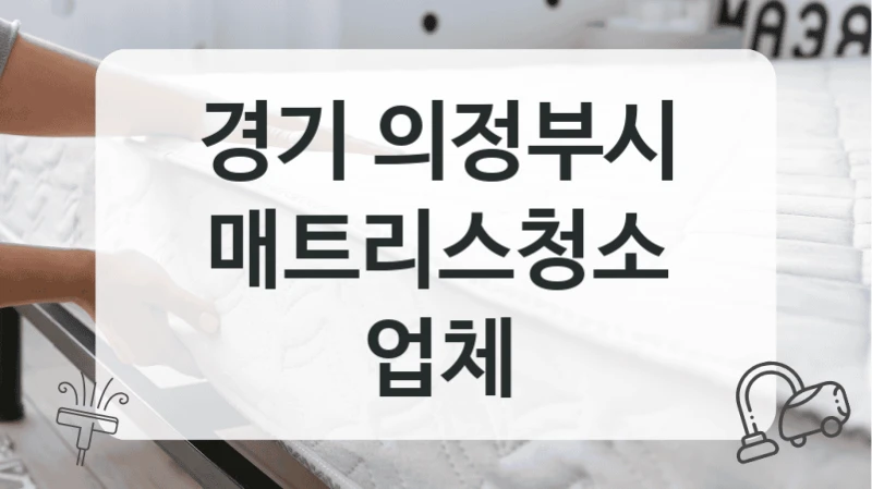 경기 의정부시
매트리스청소 업체