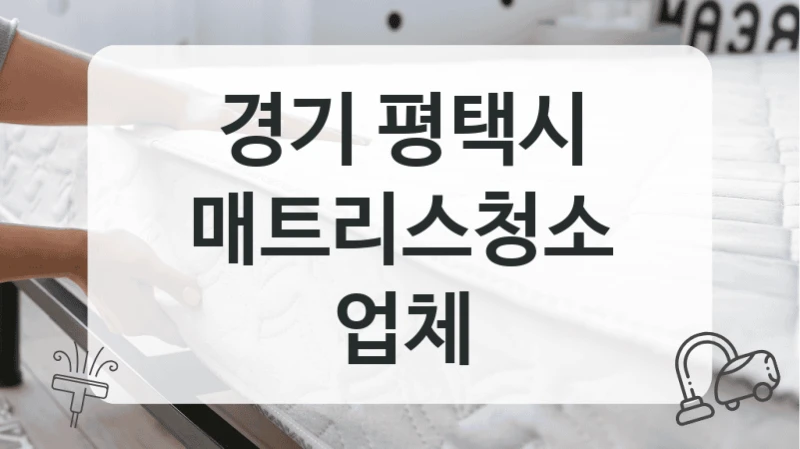 경기 평택시
매트리스청소 업체