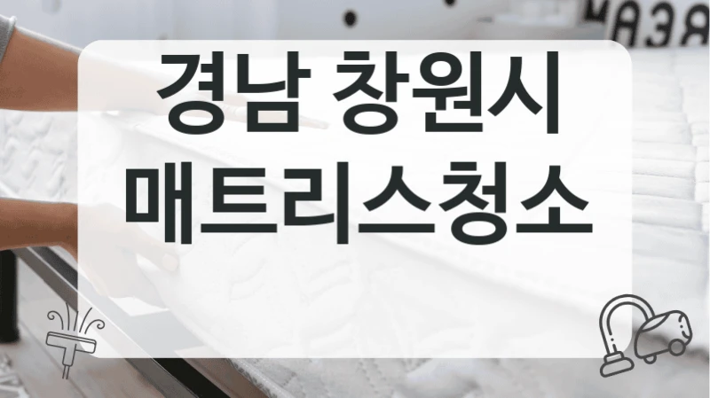 경남 창원시
매트리스청소