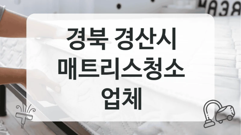 경북 경산시
매트리스청소 업체