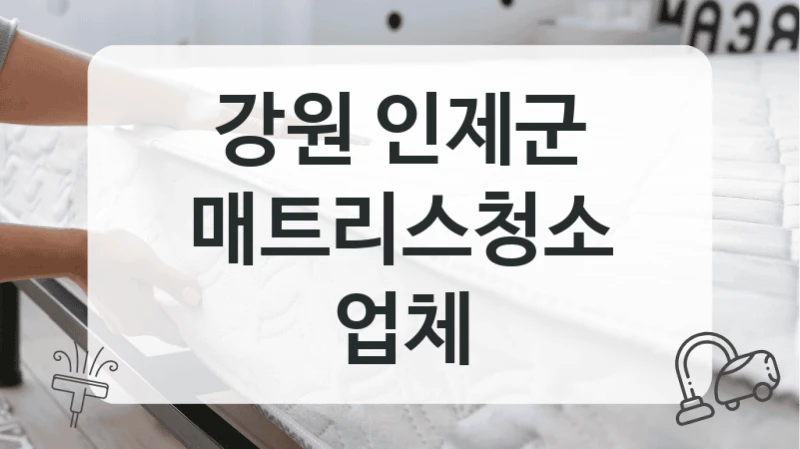 강원 인제군
매트리스청소 업체