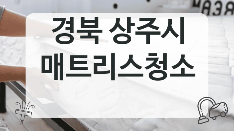 경북 상주시
매트리스청소