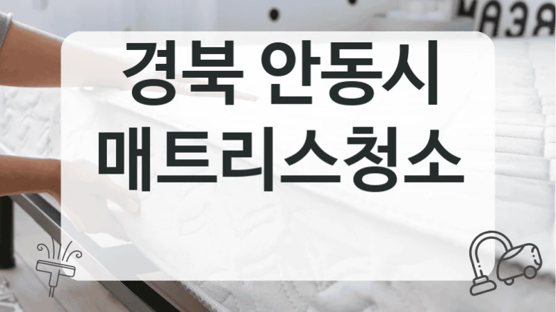경북 안동시
매트리스청소