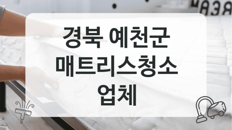 경북 예천군
매트리스청소 업체