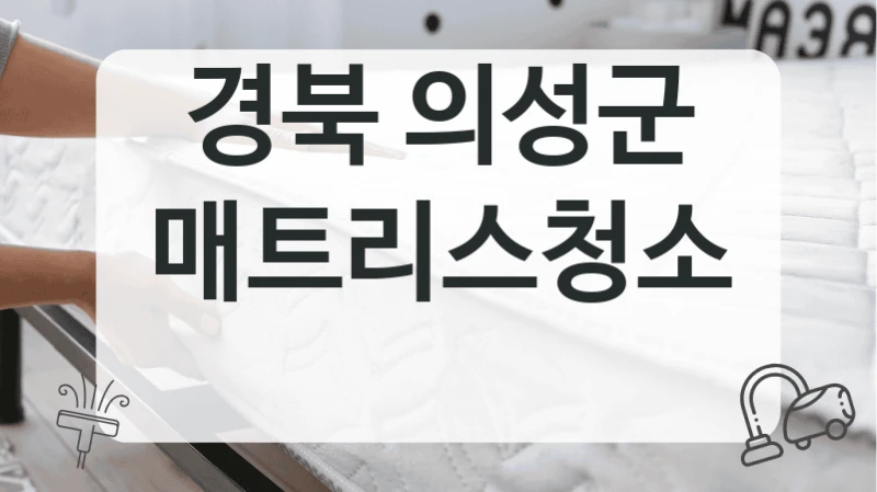 경북 의성군
매트리스청소