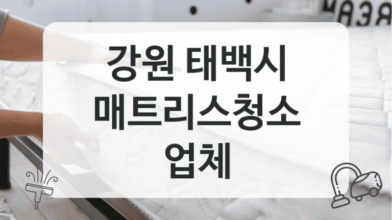 강원 태백시
매트리스청소 업체