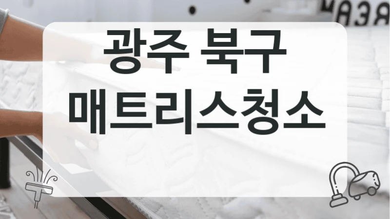 광주 북구
매트리스청소