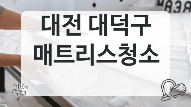 대전 대덕구
매트리스청소