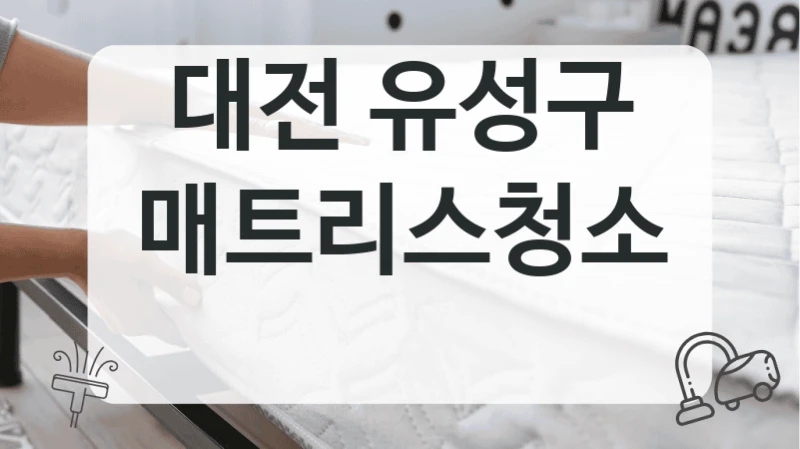 대전 유성구
매트리스청소