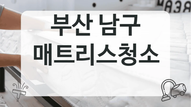 부산 남구
매트리스청소