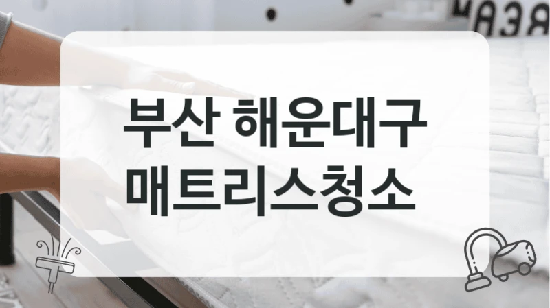부산 해운대구
매트리스청소