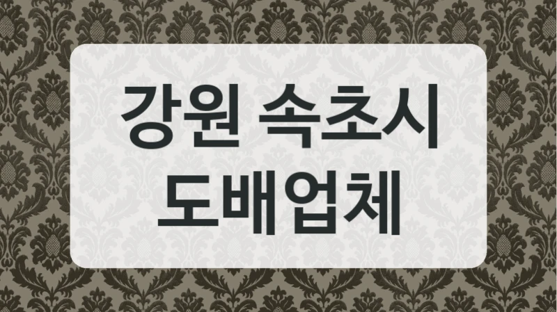 강원 속초시 도배업체