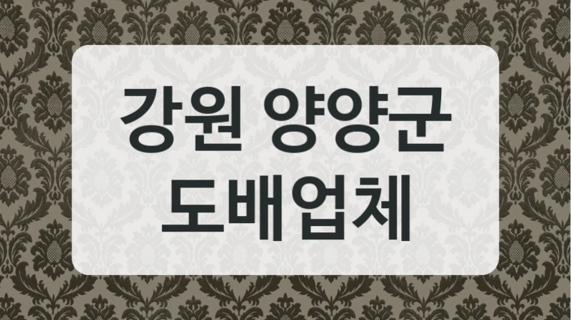 강원 양양군 도배업체