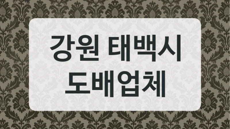 강원 태백시 도배업체